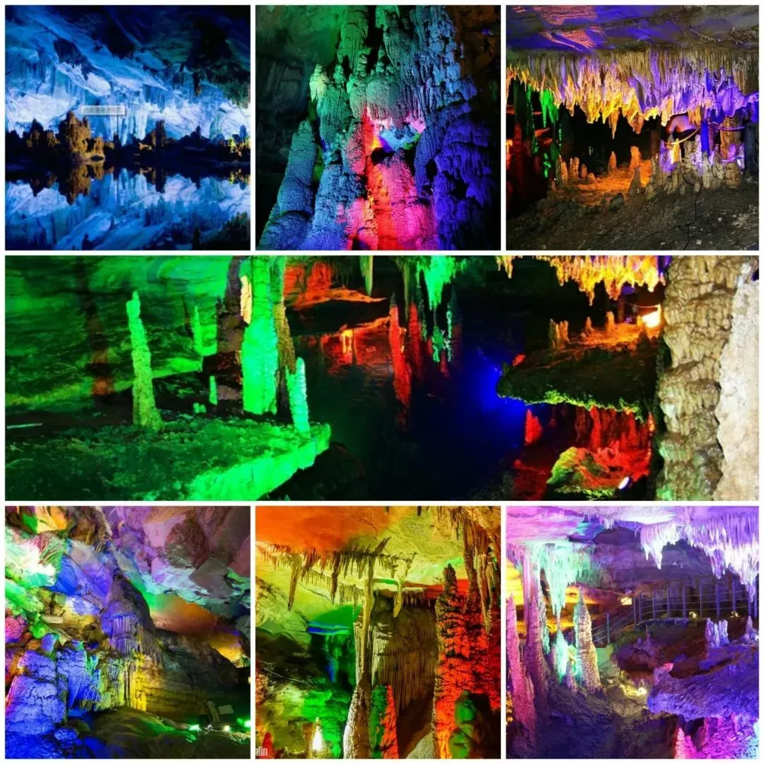 �F��10����Ҽ����|���@�P�c�������鿦˹������