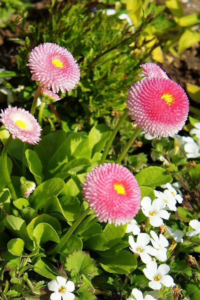 �������ǵ���������һ���̺�