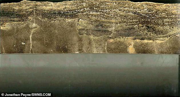 �ڶ��B�o(j��)ĩ�ڣ�������ȱ�����ߜ��{�ȡ������߀���ж����W(xu��)���|(zh��)��(d��o)���˺��������^���ƌW(xu��)�Ҍ�(du��)��߀�](m��i)�ж�Փ��