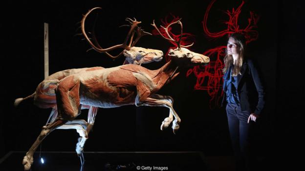 �������һ����N�Ĵ��m�r�g�ܱ��������������L�᣿