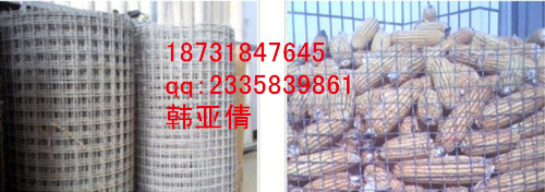 ܈���W�Z�}1