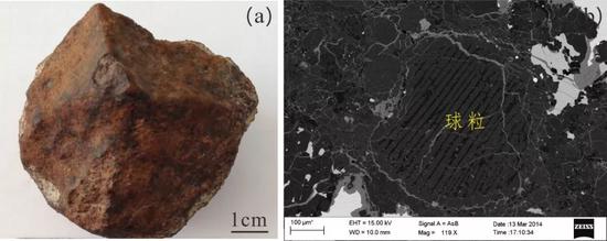 �D1.��ͨ�����Eʯ���֘�(bi��o)����Ƭ�ͱ�ɢ����ӈD�񣨁��ԇ��������_(t��i)�����c���̽�y�о����Ĳ�˾Supra-55���l(f��)���������@΢�R��