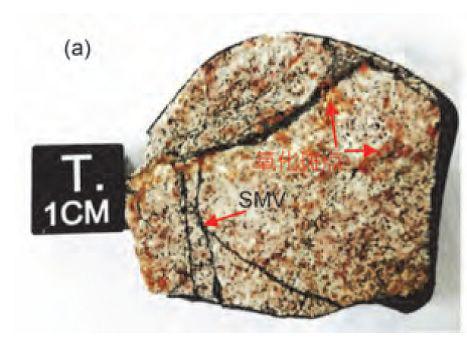 �D5.�����Eʯ�֘�(bi��o)����Ƭ���tɫ��ʾ�������c(di��n)��SMV��ʾ��ɫ�_�����}������Ӌ(j��)�����ȣ�2019��