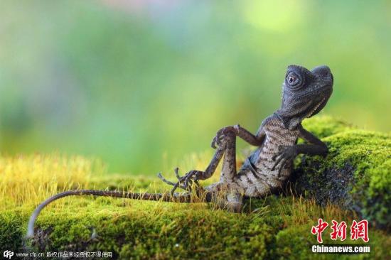 �Y�ψD�����档